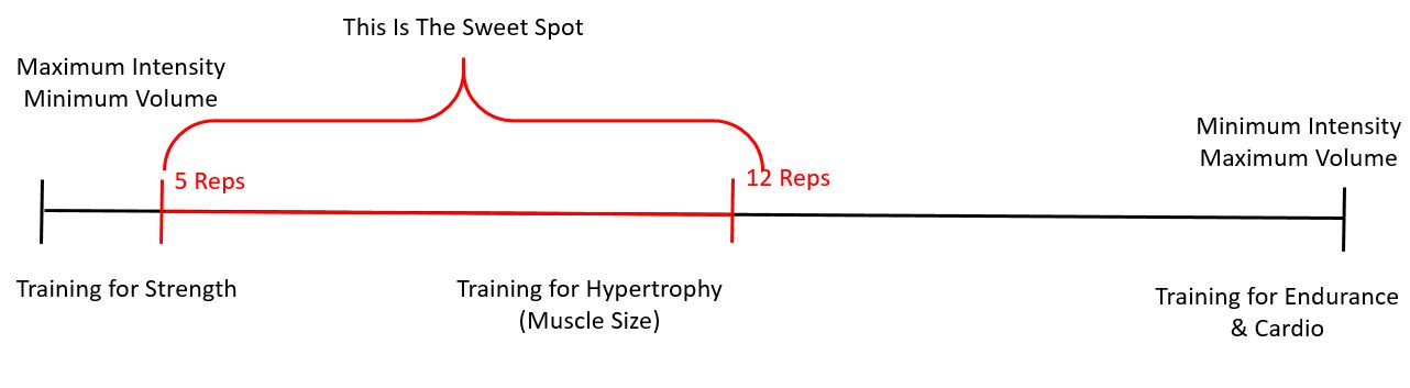 Workout Volume vs Intensity: Rep Ranges for Hypertrophy vs Strength vs Endurance
